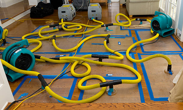 Professional Flood Damage Restoration technician working in Chandlersville, OH