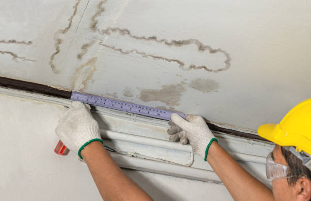 Affordable Water Damage Repair solutions in Chandlersville, OH